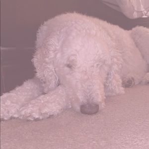 Meet your Posher, Sandra